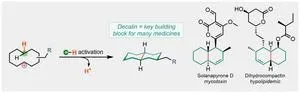 Breaking bonds to form bonds: Rethinking the Chemistry of Cations 3