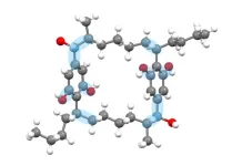 Breaking carbon–hydrogen bonds to make complex molecules