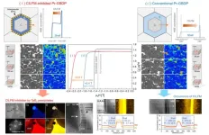 Breaking free from dependence on rare resources! A domestic high-performance permanent magnet emerges!