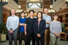 Breaking open the AI black box, team finds key chemistry for solar energy and beyond