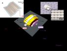 Breakthrough development of flexible 1D-1R memory cell array