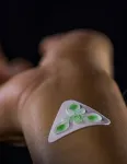 Breakthrough for sweat: health monitoring device from UH researchers 2