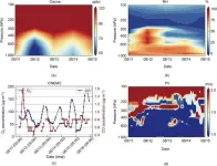 Breakthrough in atmospheric analysis: Chinese satellite delivers high spatial resolution ozone profiles