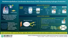 Breakthrough in clean energy: Palladium nanosheets pave way for affordable hydrogen