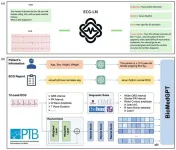 Breakthrough in heart health: A new approach to interpreting ECG data using large language models