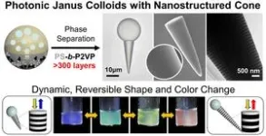 Breakthrough in nanostructure technology for real-time color display 2