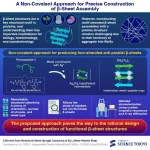 Breakthrough in the precision engineering of four-stranded β-sheets