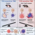 Breakthrough in using bispecific antibodies for solid tumors