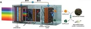 Breakthrough research enhances stability and efficiency of perovskite solar cells 3