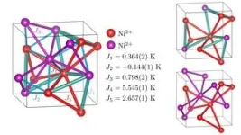 Breakthroughs in prostate cancer: New insights into biomarkers and probes 2