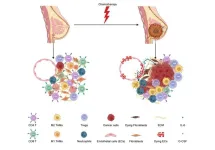 Breast cancer recurrence may be triggered by chemotherapy injury to non-cancer cells