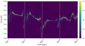 Broadband buzz: Periodical cicadas' chorus measured with fiber optic cables 2