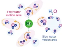 Bromide ions cause ripples in semiclathrate hydrates