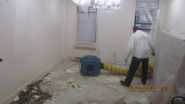 Brooklyn Mold Inspection and Removal Company Announces Public Warning for Toxic Mold Growth From Superstorm Sandy Flooding 3