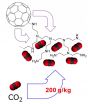 Buckyballs enhance carbon capture 3