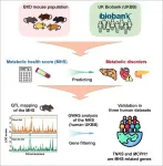 Building a blueprint of metabolic health – from mouse to human