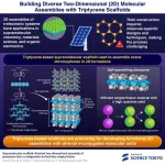 Building better solar cells: assembly of 2D molecular structures with triptycene scaffold