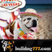 Bulldog777 to Award the Master of 777 with an Epic Las Vegas Vacation with Cash and Show Tickets