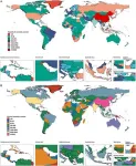 Burden of liver cancer attributable to hepatitis B and alcohol globally, in China, and for five sociodemographic index regions from 1990 to 2021