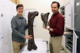 Burke Museum paleontologists discover the first dinosaur fossil in Washington state 2