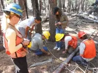 Burning question: How to save an old-growth forest in Tahoe 3