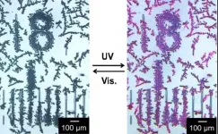 By the numbers: Diarylethene crystal orientation controlled for 1st time