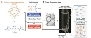 Bye-bye microplastics: new plastic is recyclable and fully ocean-degradable 2