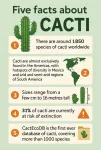 Cactus catalogue could help plant’s prickly problem