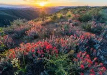 California a botanical and climate change hot spot 2