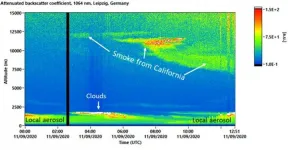 Californian smoke drifted as far as Europe in 2020 and caused heavy clouding of sun