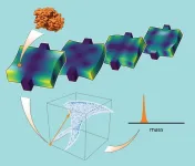 Caltech's new fingerprint mass spectrometry method paves the way to solving the proteome