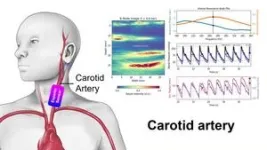 CalTech team develops first noninvasive method to continually measure true blood pressure 2