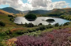 Cambridge University receives $72 million gift for habitat restoration projects across Europe’s land and seas