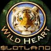 Canadian Wins $107,064 Slotland Jackpot Playing Wild Heart Video Poker