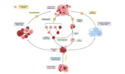 Cancer cell repopulation after therapy: which is the mechanism?