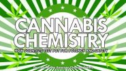 Cannabis chemistry: How scientists test pot for potency and safety (video)