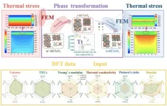 Capturing and visualizing the phase transition mediated thermal stress of thermal barrier coating materials via a cross-scale integrated computational approach