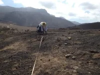 Car fumes, weeds pose double whammy for fire-loving native plants