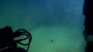 Carbon dioxide pools discovered in Aegean Sea 3