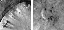 Carbon in Vestas craters 