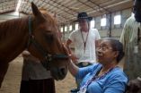 Caring for horses eases symptoms of dementia 2