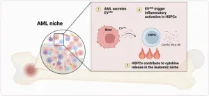 Case for inflammatory memory for hematopoietic stem and progenitor cells in AML niche