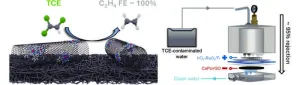 Catalyzing environmental cleanup: A highly active and selective molecular catalyst and electrified membrane