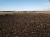 Cattle grazing and soybean yields