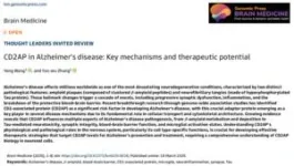 CD2AP and Alzheimer’s disease: A key regulator of neurodegeneration and potential therapeutic target 2