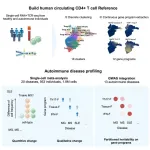 CD4+ T cell patterns linked to autoimmune disorders