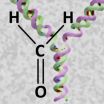 Cellular defence against fatal associations between proteins and DNA