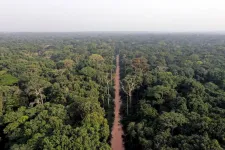 Central African forests are unequally vulnerable to global change