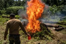 Central America could play troubling new role in cocaine trade