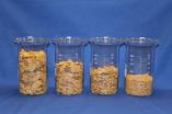 Cereal flake size influences calorie intake 2